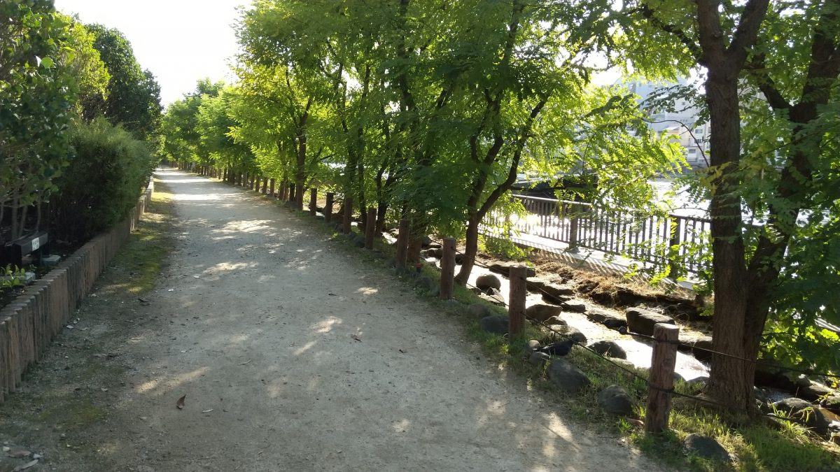 green area along Sumida river